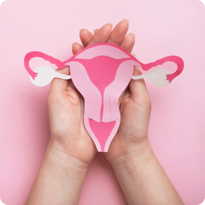 TCM Ovary Wellness Therapy